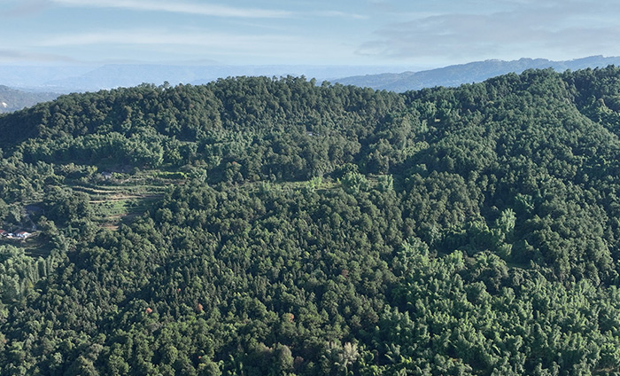智慧森林無人機(jī)全自動巡邏方案