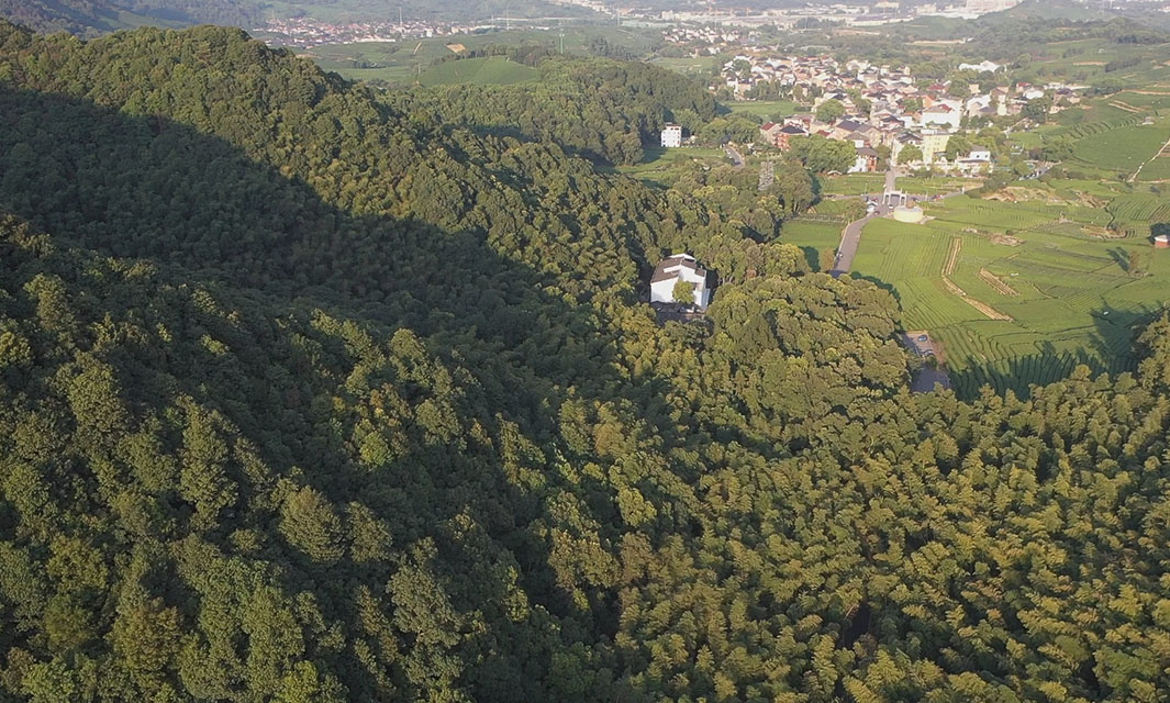 一文解析無人機森林防火，森林消防無人機的革命性應用
